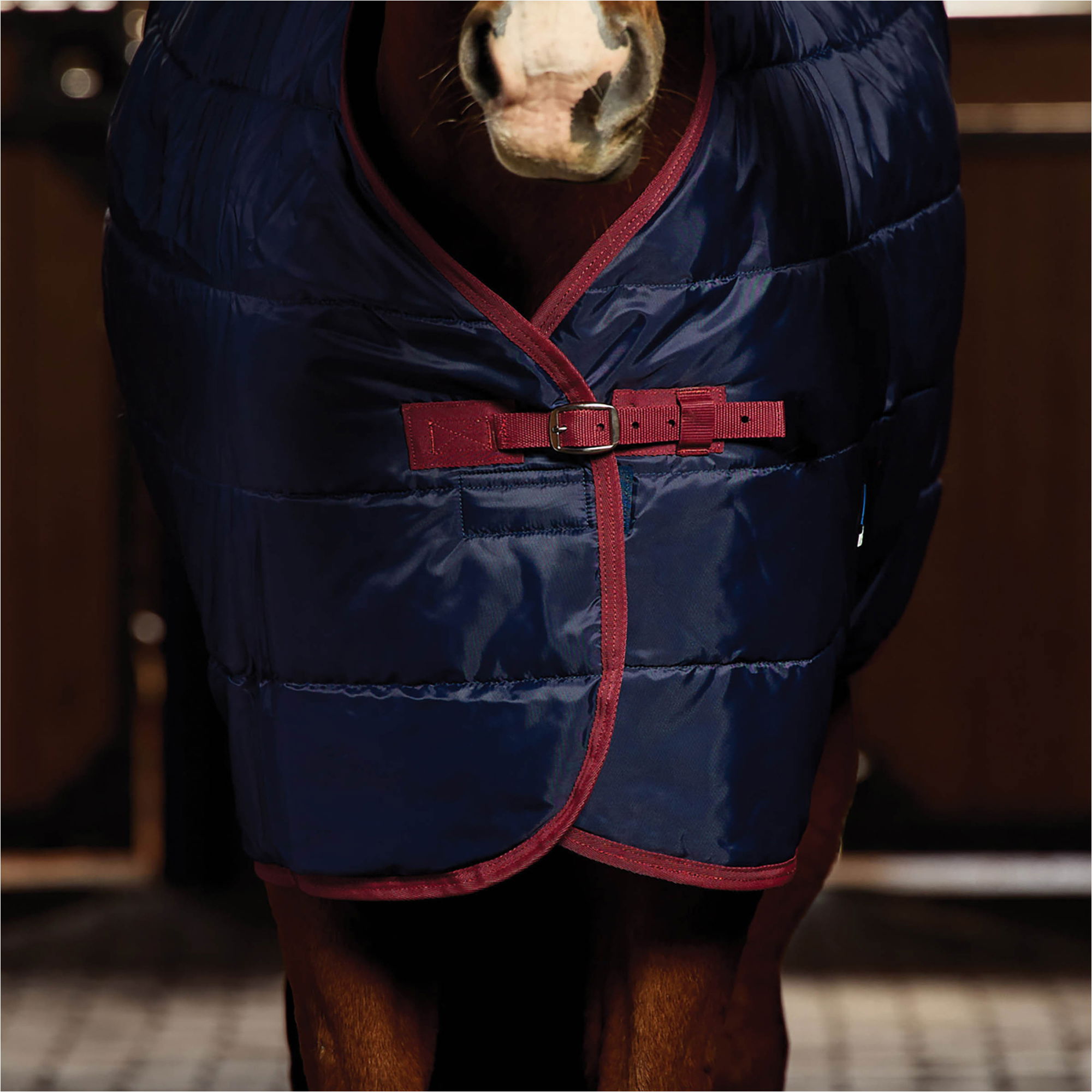 2026 WeatherBeeta Staldeken 100G 1031486 - Navy / Burgundy